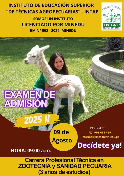 admision 2025 i